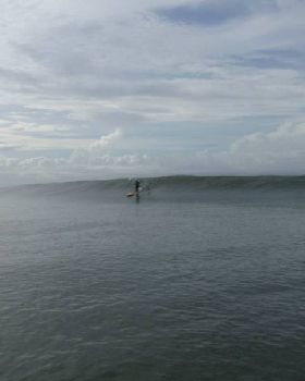 a few more reasons to come SUP in Bali