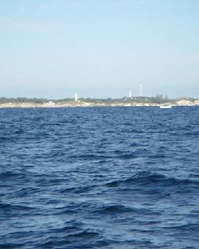 gilligans 7