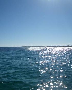 gilligans 8