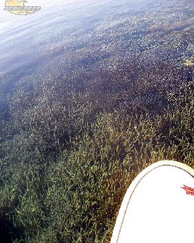 A SUP Odyssey