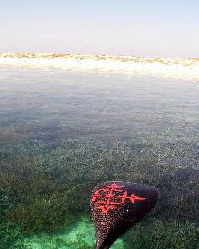 A SUP Odyssey