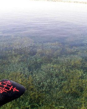 A SUP Odyssey
