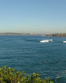 DSC00808