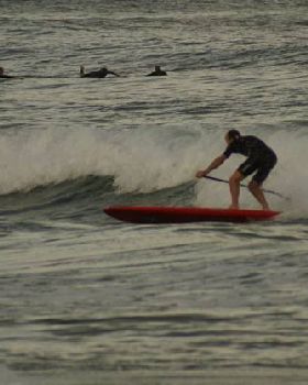 glen sup