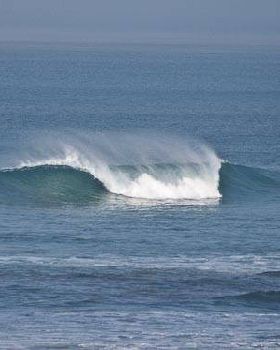Bombie1