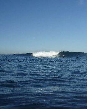 flinders