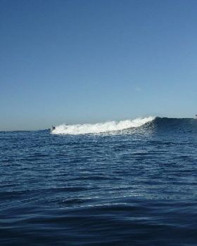 flinders