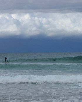 Crowded out by dolphins