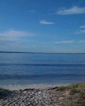 Arvo Glass Off