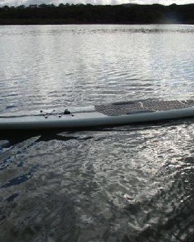 16' 5 010