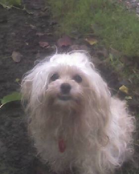 Photo 020906 001