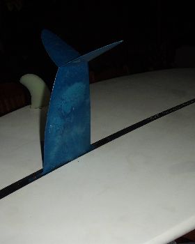 winged fin