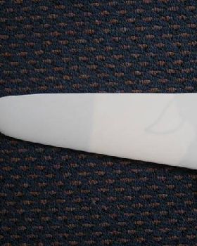 fins (1) (Small)