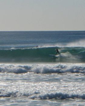 P8130031 2