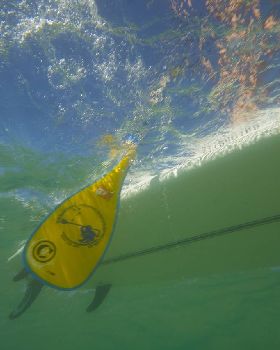 paddle