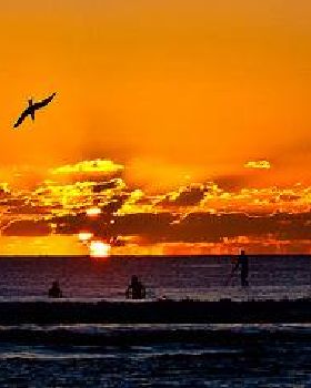 Pure Gold Coast