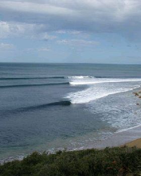 Bells Rincon 015