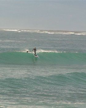DSC00848