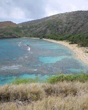 Hawaii09b 5