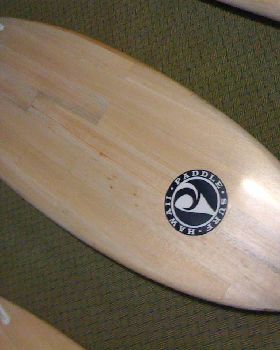 Stand Up Paddle