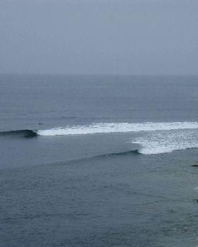 rincon 1709 006