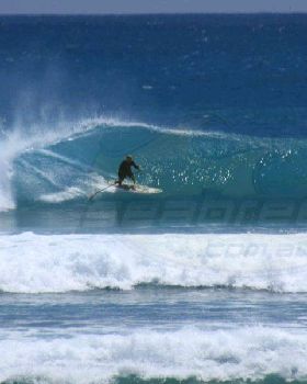 Stand Up Paddle (SUP)