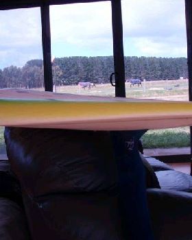 8' 2 005 (Small)