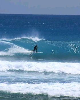 Stand Up Paddle (SUP) in WA