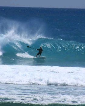 Stand Up Paddle (SUP) in WA