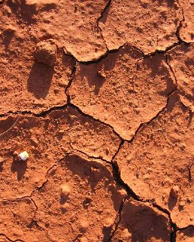 Pindan Earth