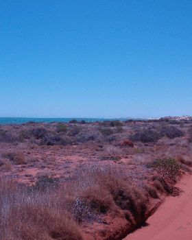 Day 1-Middle of Nowhere