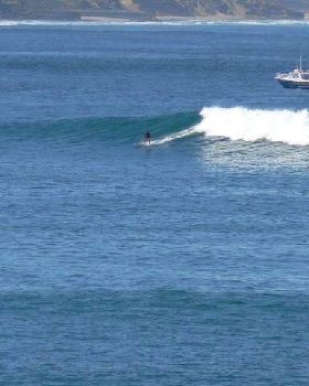 1st Bombie