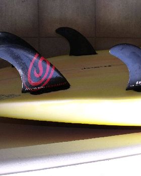 2009 1029supfins0005