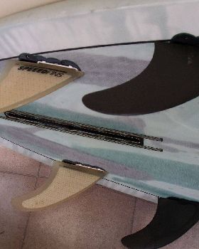 2009 1029supfins0006
