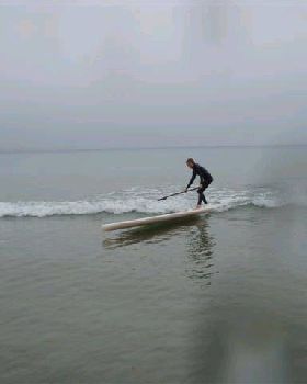 LONGBOARDS 008 (Small)