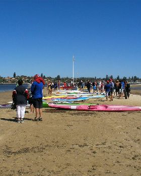 Classic Paddle