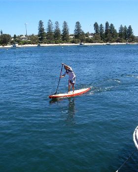 Classic Paddle