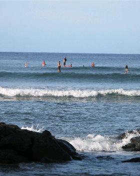 Stand Up Paddle