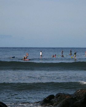 Stand Up Paddle