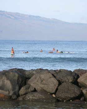 Stand Up Paddle