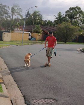 Gota Get A Big Stick