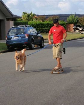 Gota Get A Big Stick