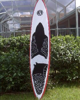 Stand Up Paddle