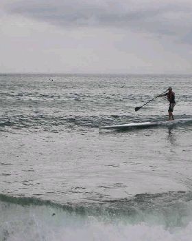 Stand Up Paddle