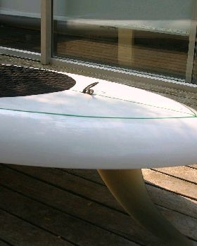 tail