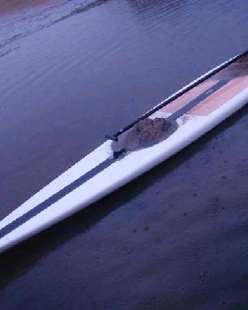 12'6 023 (Small)