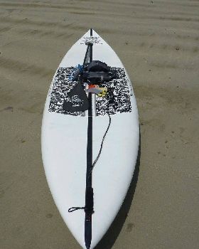 Pin with gear