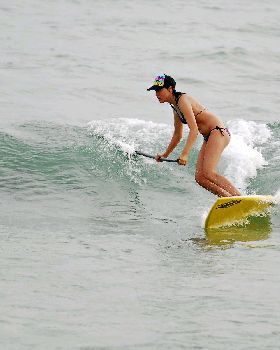  DSC0537