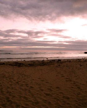 Early January Morning