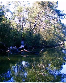 Woronora River 023